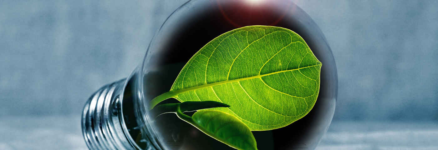The path to building a UK hydrogen economy The path to building a UK hydrogen economy