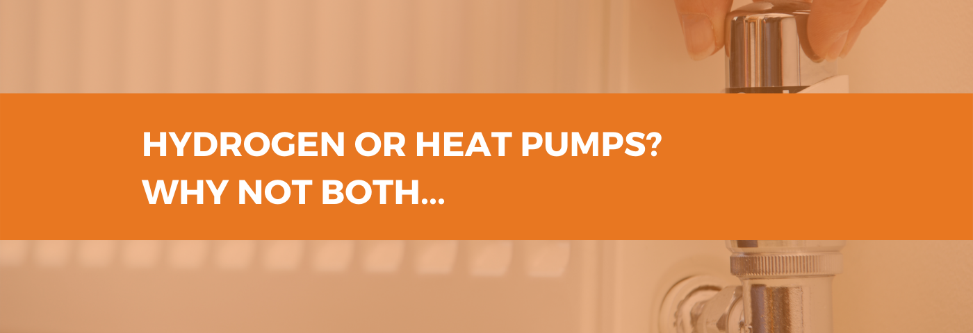 Hydrogen or heat pumps? Why not both