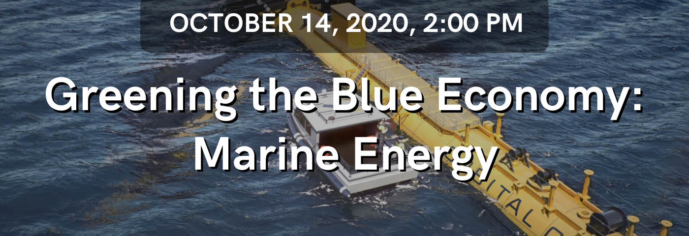 Greening the Blue Economy: Marine Energy