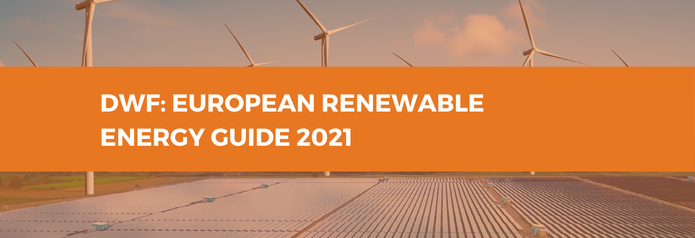 DWF: European Renewable Energy Guide, 2021