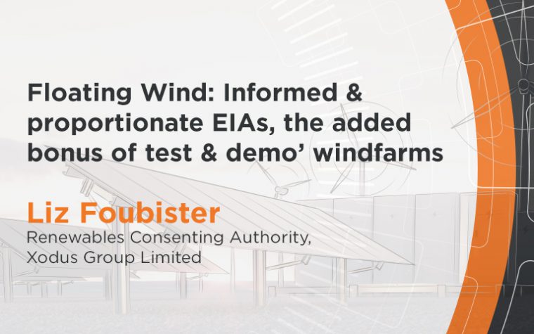 Floating Wind-Informed & proportionate EIAs, the added bonus of test & demo windfarms
